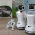 Roboty Nao, Sanbot i Pepper w sosnowieckim Centrum Pediatrii