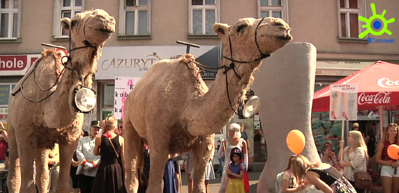 Zbliża się 120 lat Teatru Zagłębia! Materiał TV Sosnowiec