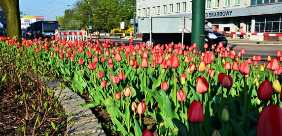 Co robić w Sosnowcu w weekend? Sprawdź, co się dzieje