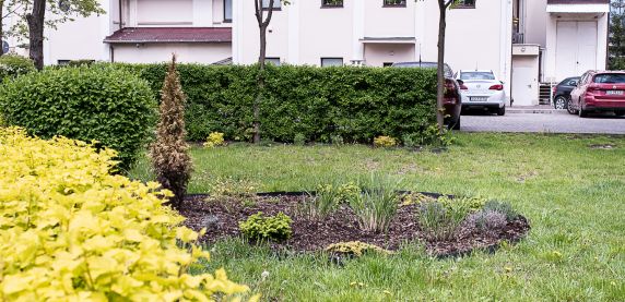 Teatr Zagłębia zachęca do przynoszenia roślin