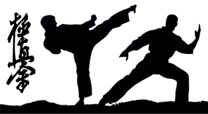 Turnieje Karate Kyokushin o Puchar Prezydenta Sosnowca