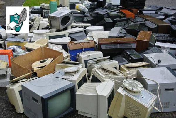 Uczniowie Szkoły Podstawowej nr 16 w Sosnowcu w czołówce Ogólnopolskiego Programu