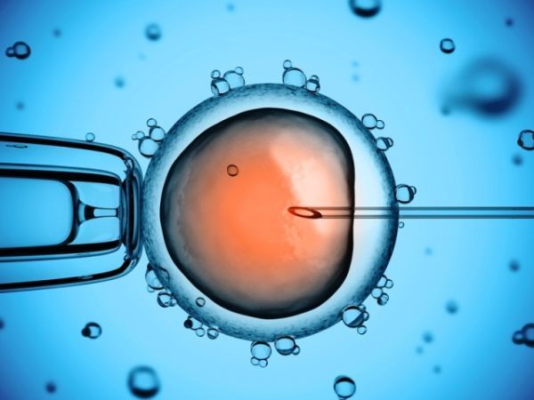 Znamy realizatorów programu in vitro w Sosnowcu