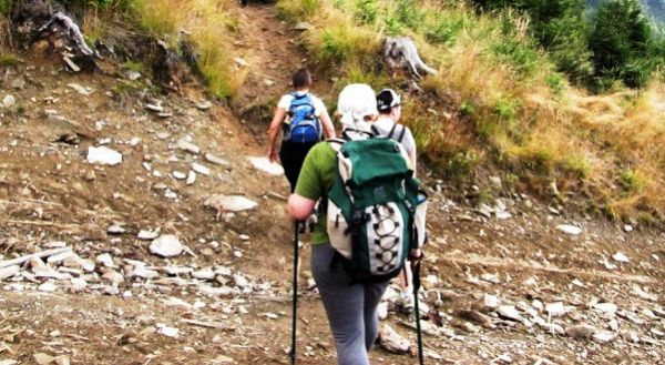 Nordic Walking dla mieszkanek Sosnowca