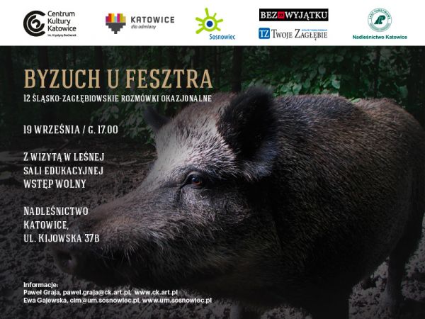 XII ŚLĄSKO-ZAGŁĘBIOWSKIE ROZMÓWKI OKAZJONALNE - BYZUCH U FESZTRA