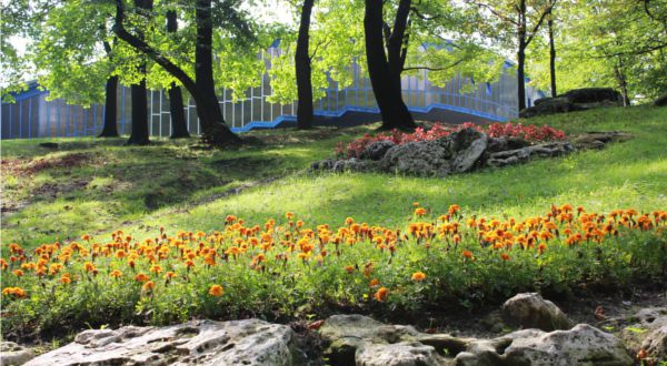 Park Dietla z plenerową siłownią