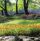 Park Dietla z plenerową siłownią
