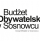 Znamy zwycięskie projekty Budżetu Obywatelskiego w Sosnowcu
